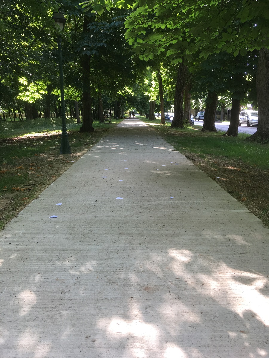 Chemin en béton balayé à Sucy en Brie(94)